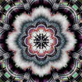 Flower Power 6