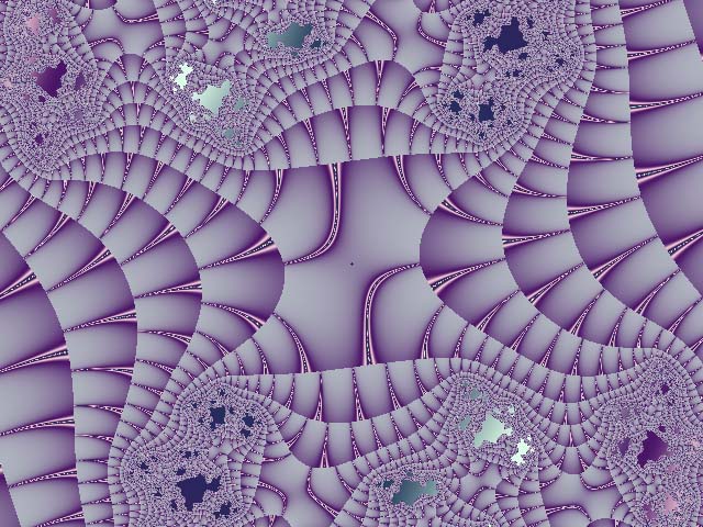 Lilac Tiger