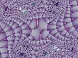 Lilac Tiger