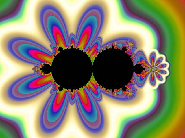 Groovy Flowers