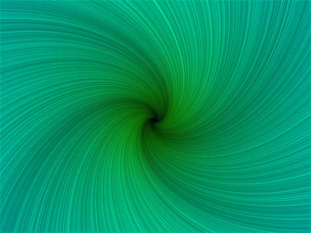 Bloom Zoom