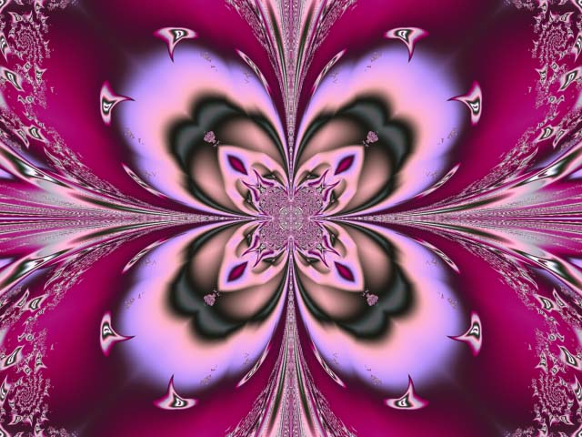 Spring Butterfly
